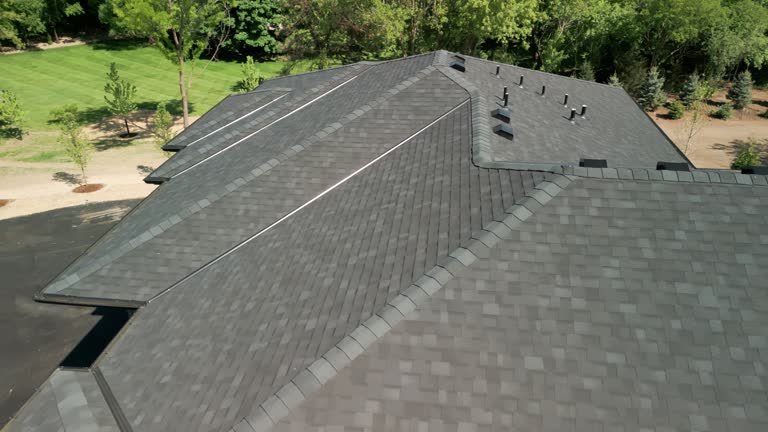 Best Gutter Replacement  in Madison, AL